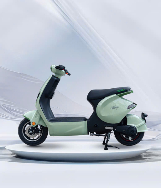 PEGA Đạp điện Wings