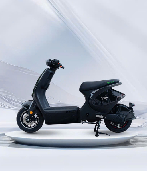 PEGA Đạp điện Wings