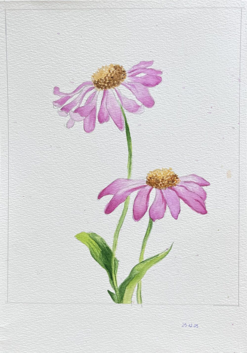 Tác phẩm Võ Ngọc Tường Vy | 2025-12-25 32