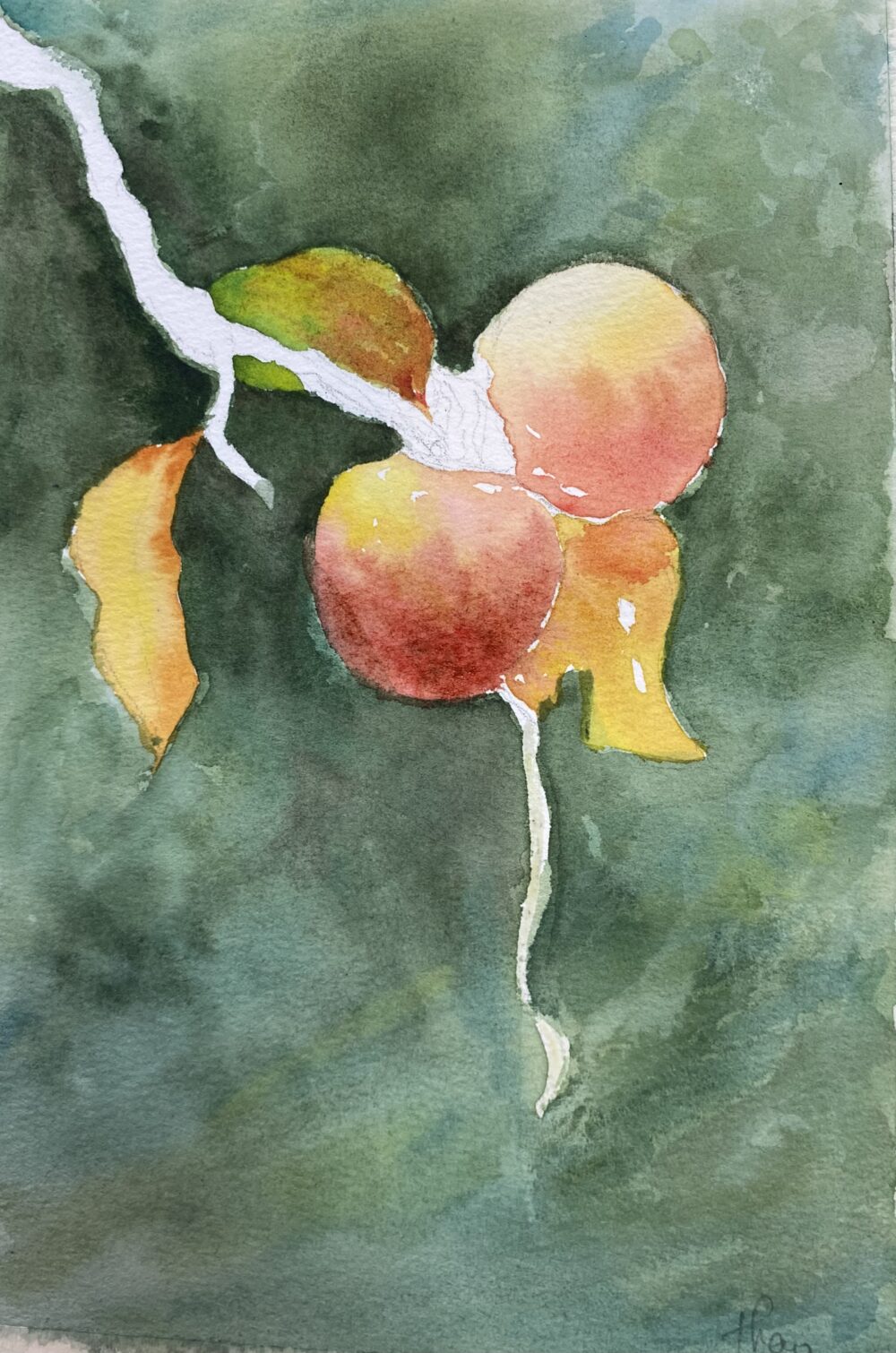 Tác phẩm Nguyễn Thảo Phương | 2025-12-06 33