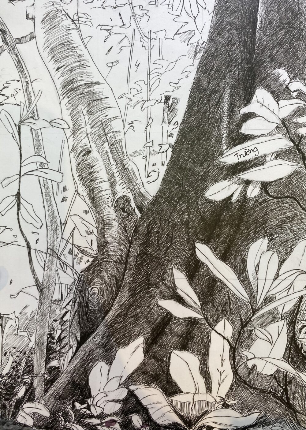 Tác phẩm Phạm Trường Minh | 2025-12-06 33