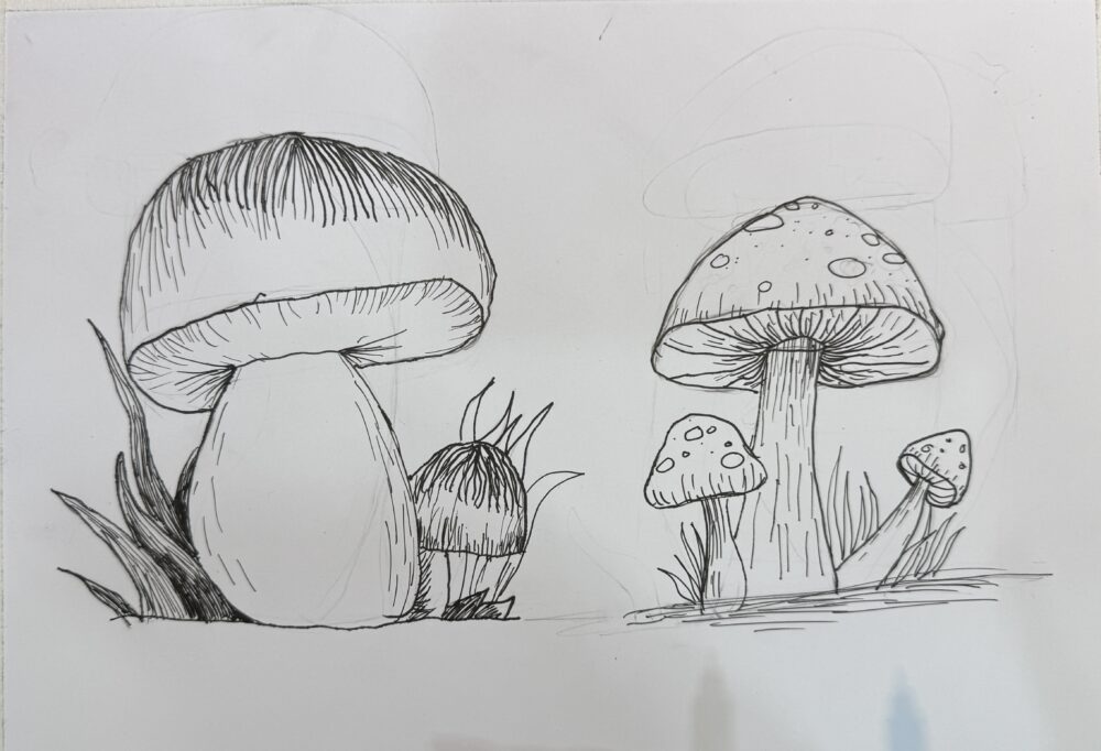 Tác phẩm Hoàng Nguyễn Lê Minh | 2025-12-27 32