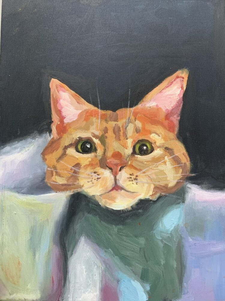 Ảnh của Nguyễn Thị Như Quỳnh – 2025-12-15 14:31:26