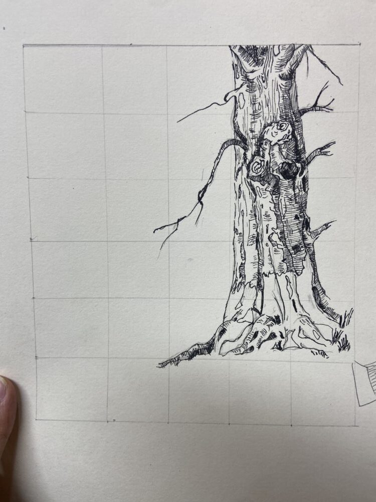 Tác phẩm Đặng Vân Thanh | 2025-12-27 34