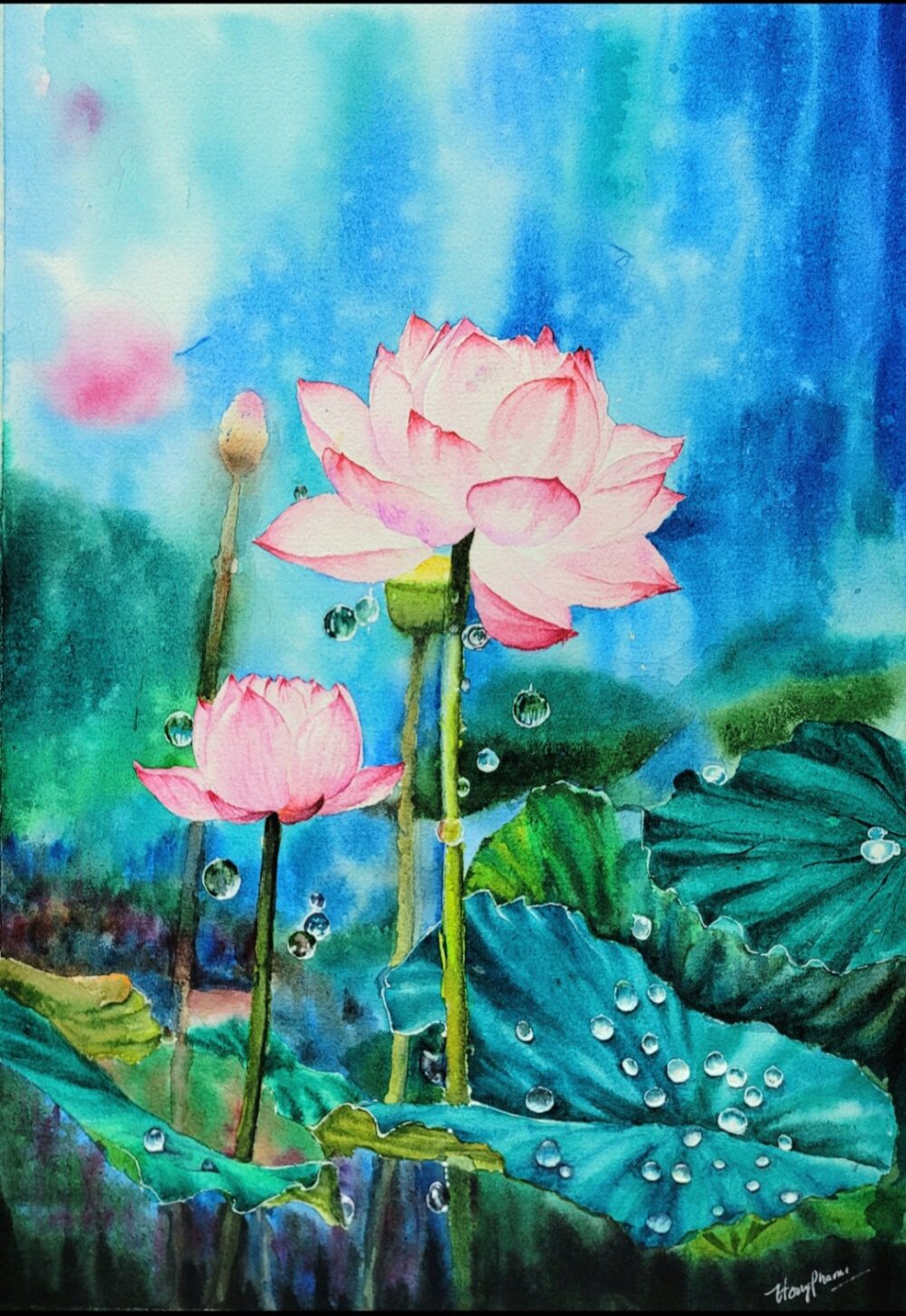 Ảnh của Phạm Thị Minh hiền – 2025-12-03 15:23:24