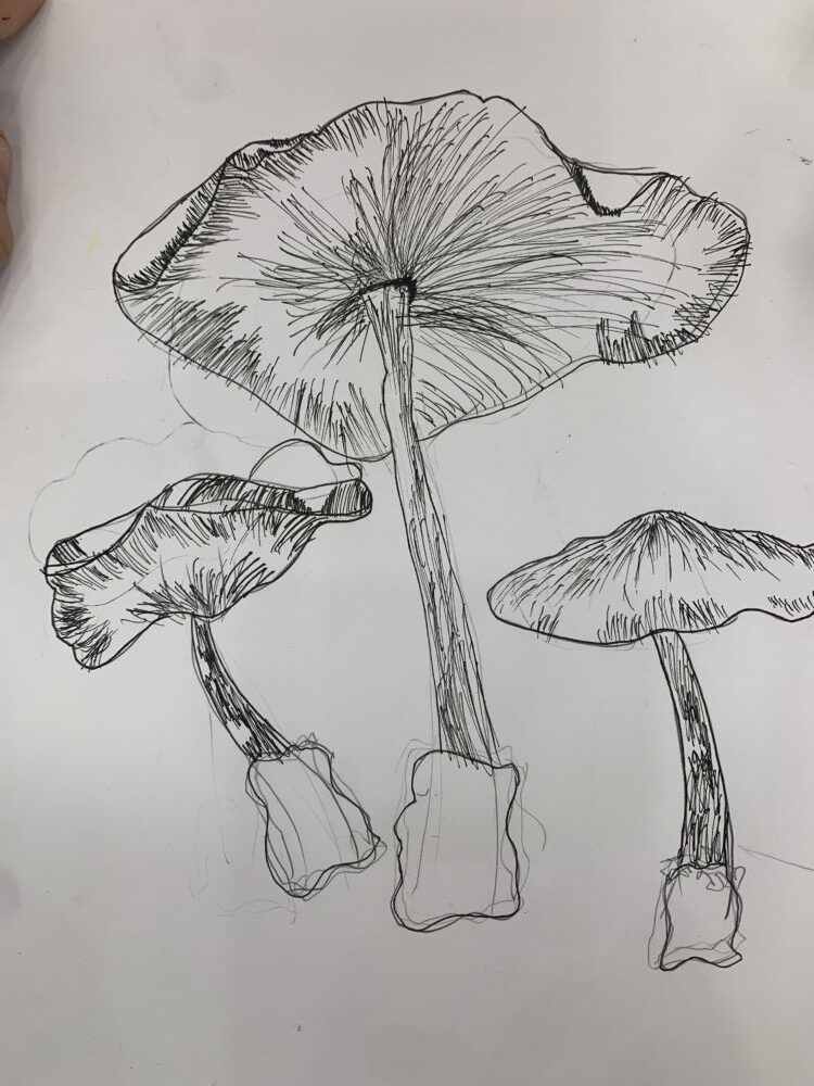 Tác phẩm Thành Khôi | 2025-12-27 33