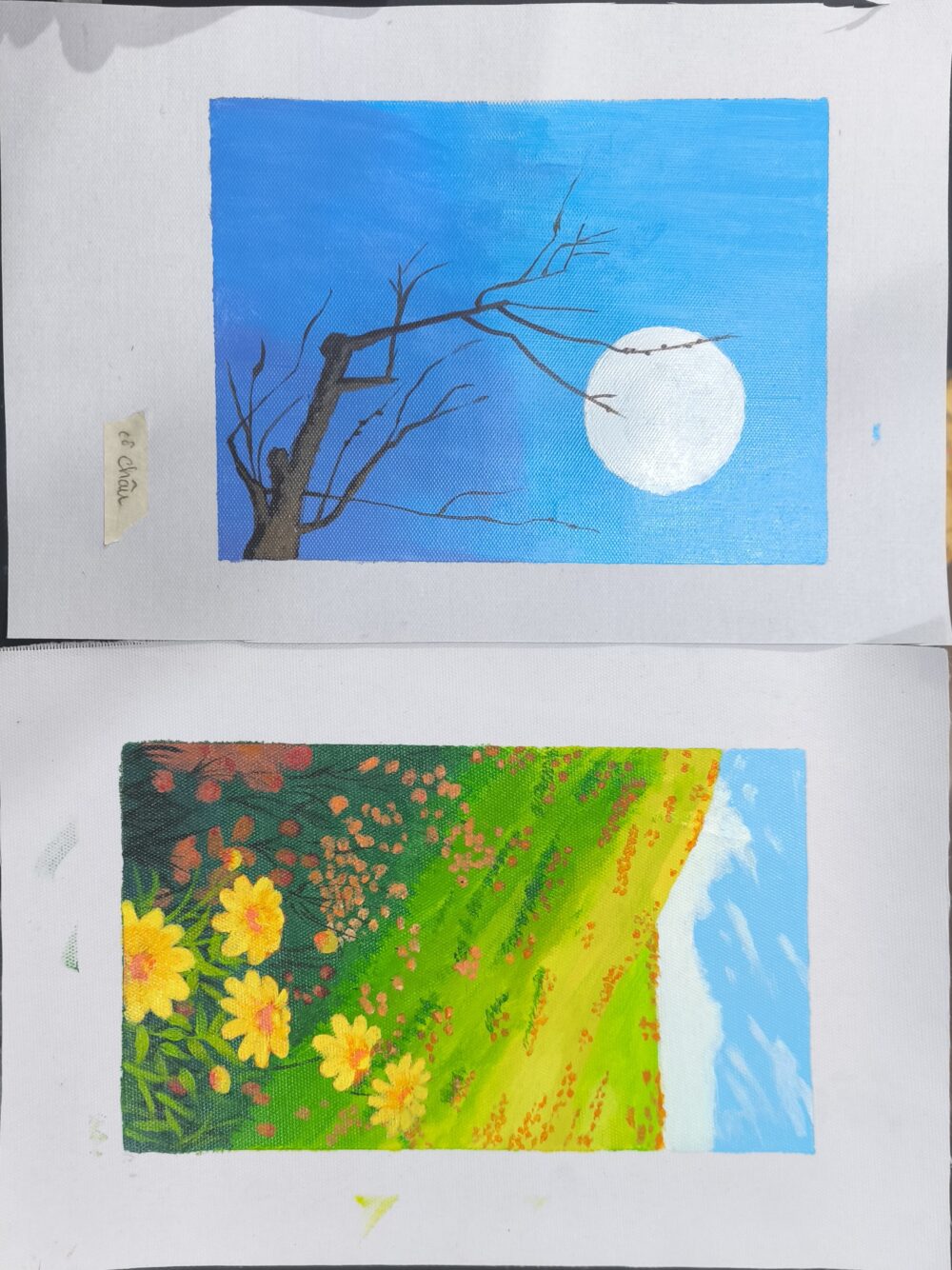 Tác phẩm Cô Phan Hồng Châu | 2026-01-28 32