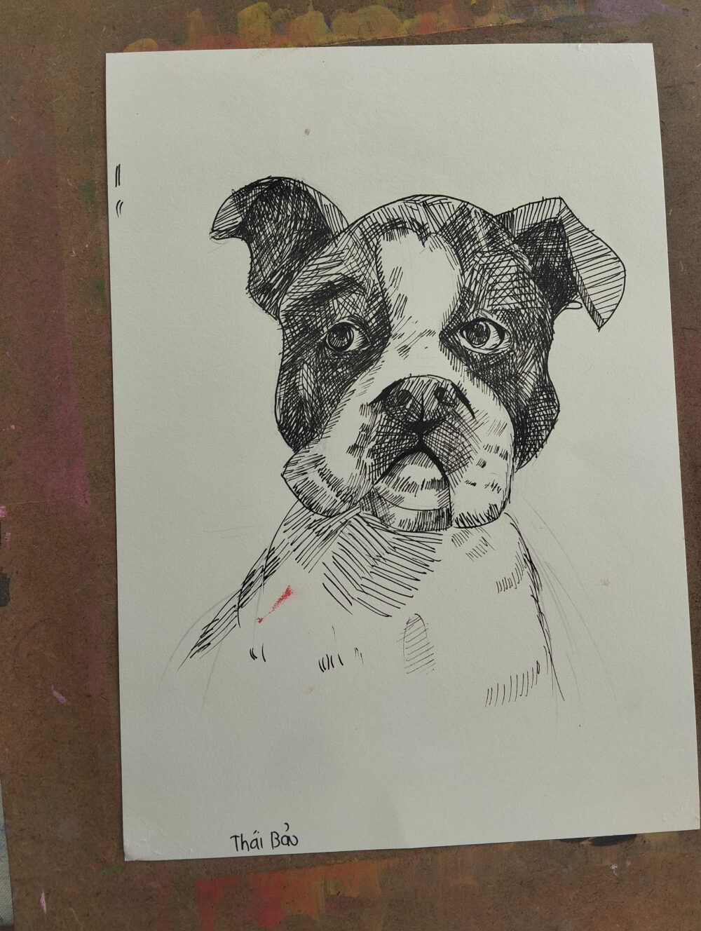 Tác phẩm Nguyễn Thái Bảo | 2026-01-24 32