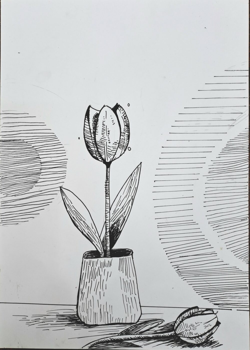 Tác phẩm Duy Minh | 2026-01-17 34