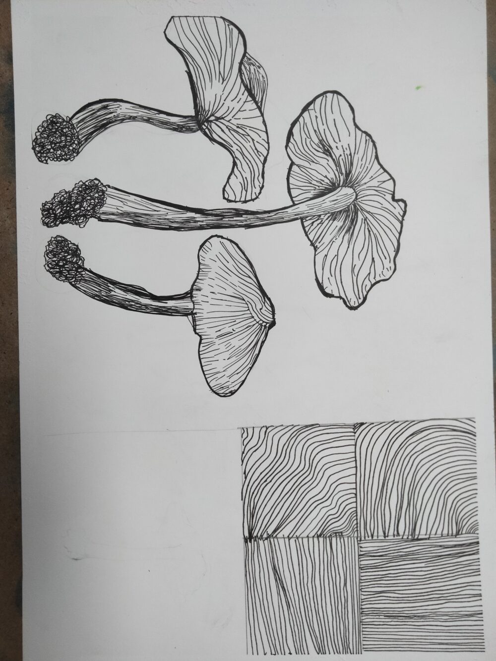 Tác phẩm Đỗ Anh Tuấn 2017 | 2026-01-11 33