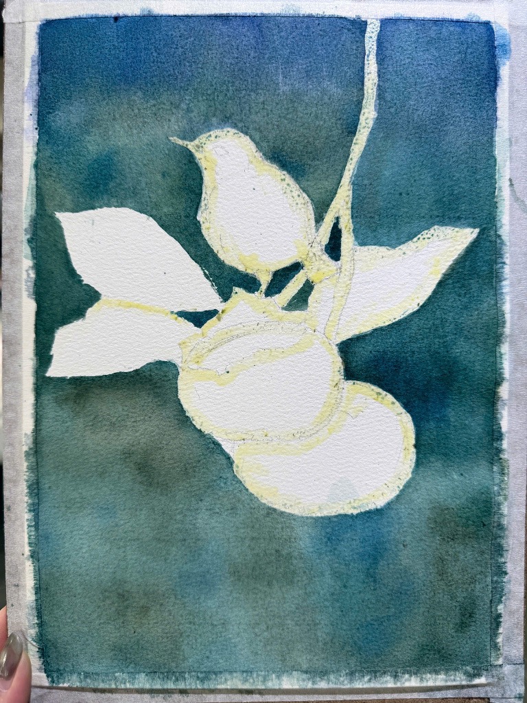 Tác phẩm KID Anais 2015 | 2026-01-18 32