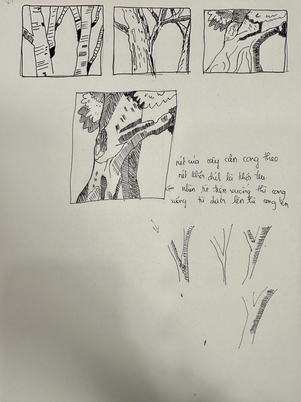 Tác phẩm Nguyễn Phương Vy | 2026-01-26 33