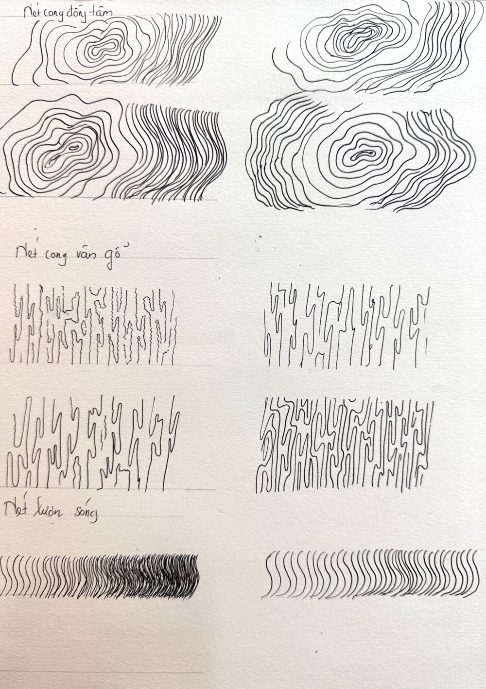 Tác phẩm Nguyễn Phương Ly | 2026-01-29 32