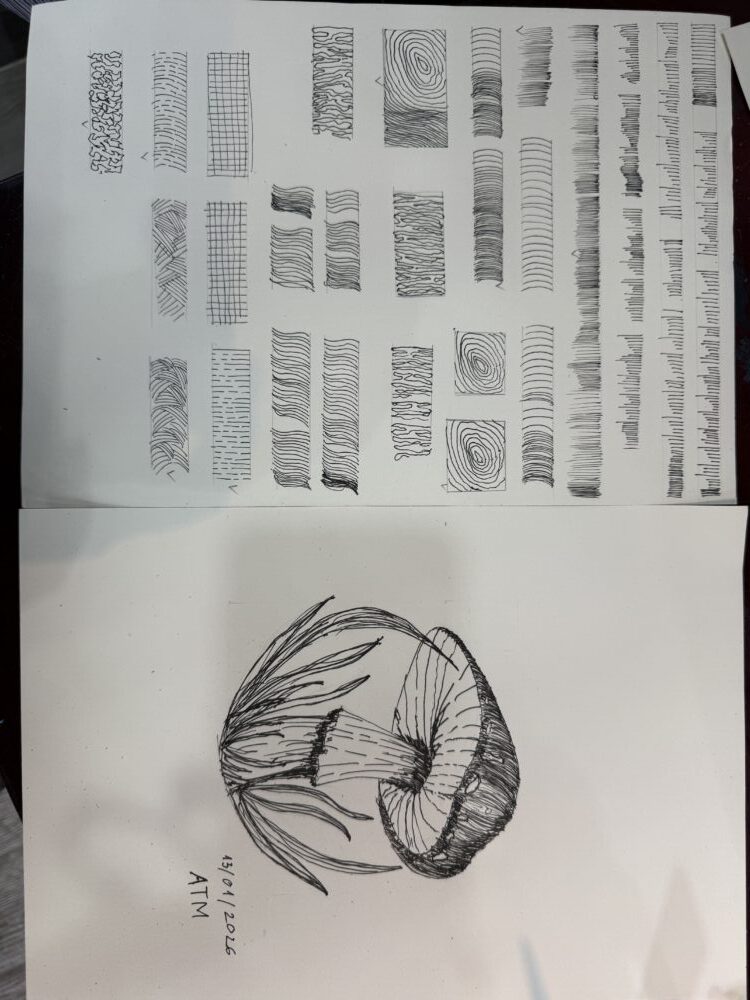 Tác phẩm Hồ Trung Đông | 2026-01-13 33