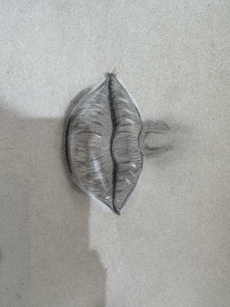 Tác phẩm Mai Thu Dung | 2026-01-18 34