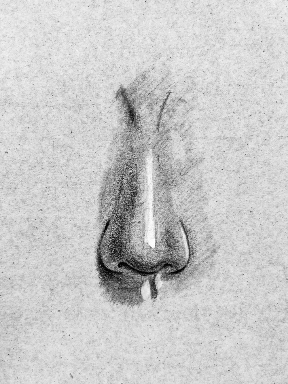 Tác phẩm Khánh Hồng | 2026-01-26 34