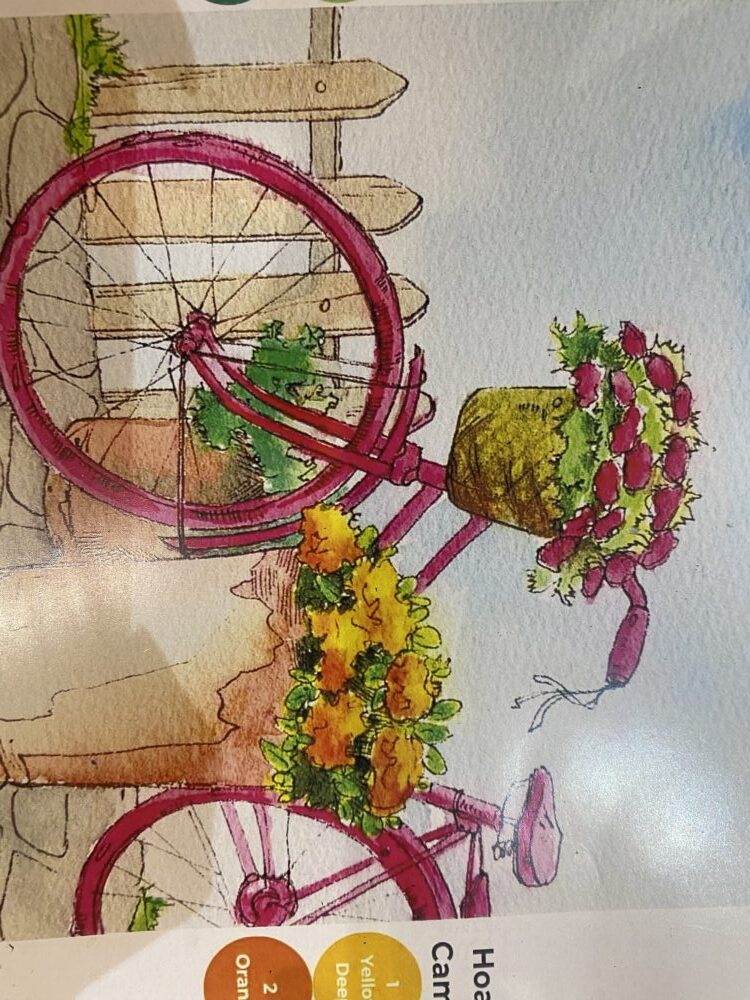 Tác phẩm Nguyễn Bích Ngọc | 2026-01-11 34