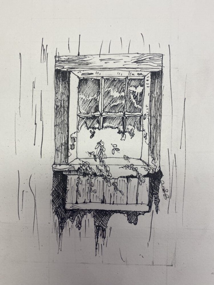 Tác phẩm Ngô Hải Phong | 2026-01-22 34