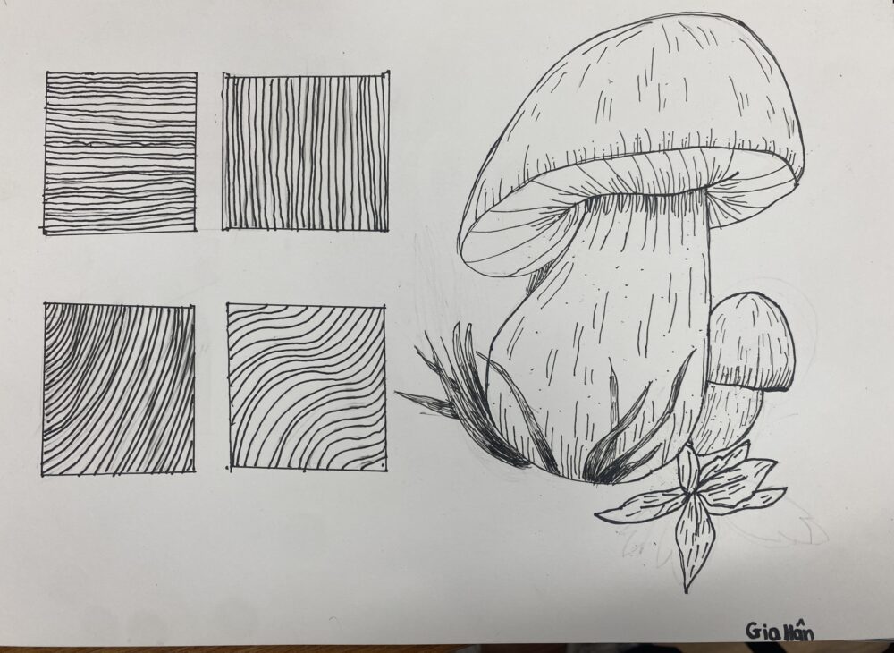 Tác phẩm Văn Ngọc Gia Hân | 2026-01-11 33