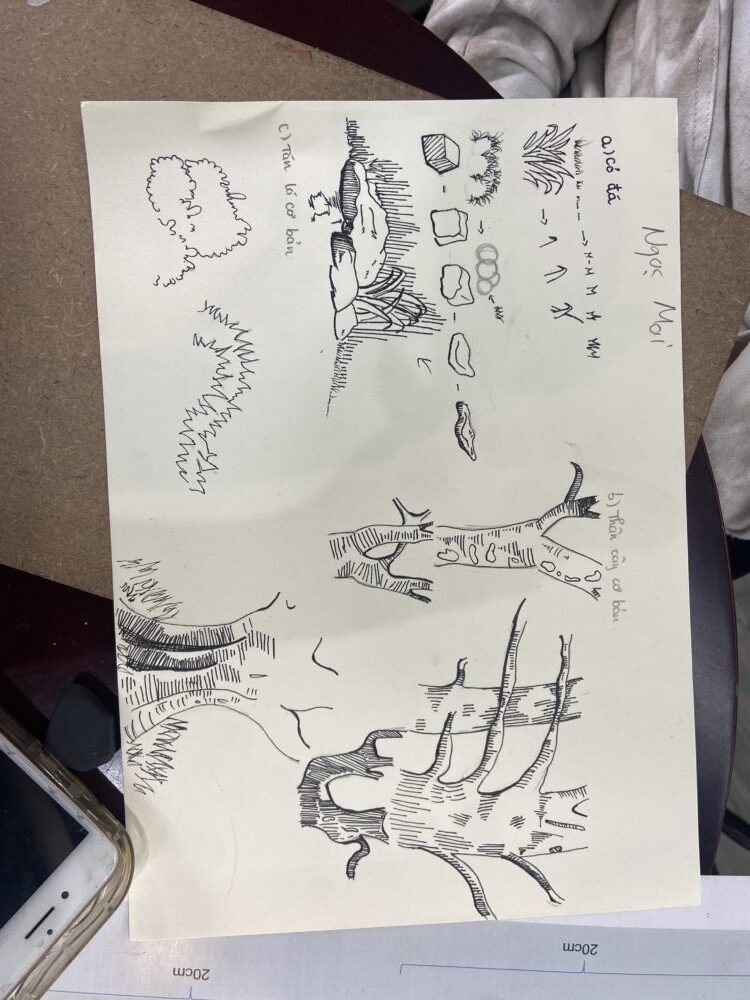 Tác phẩm Ngọc Mai | 2026-01-03 32