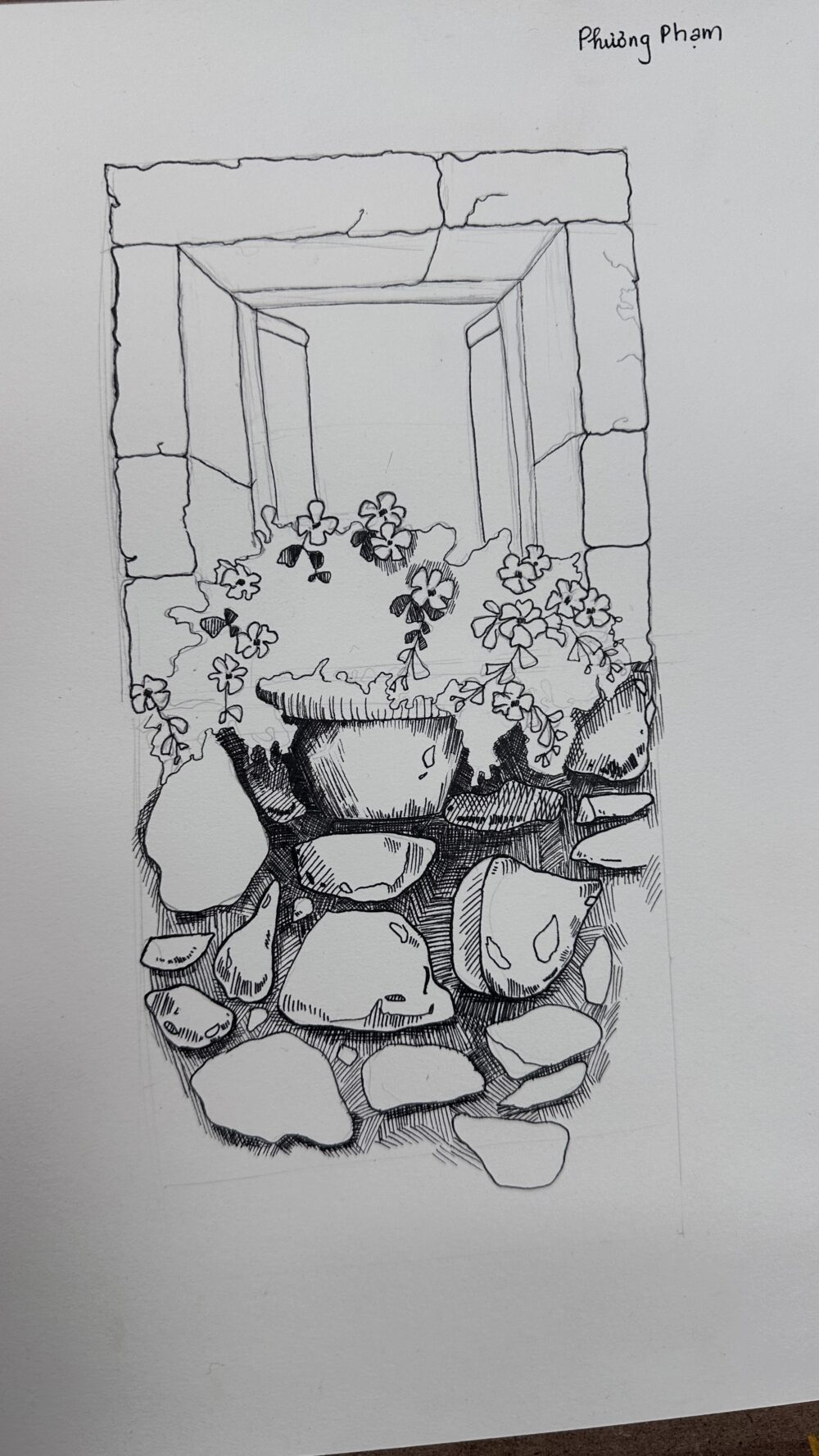 Tác phẩm Phương Phạm | 2026-01-24 32