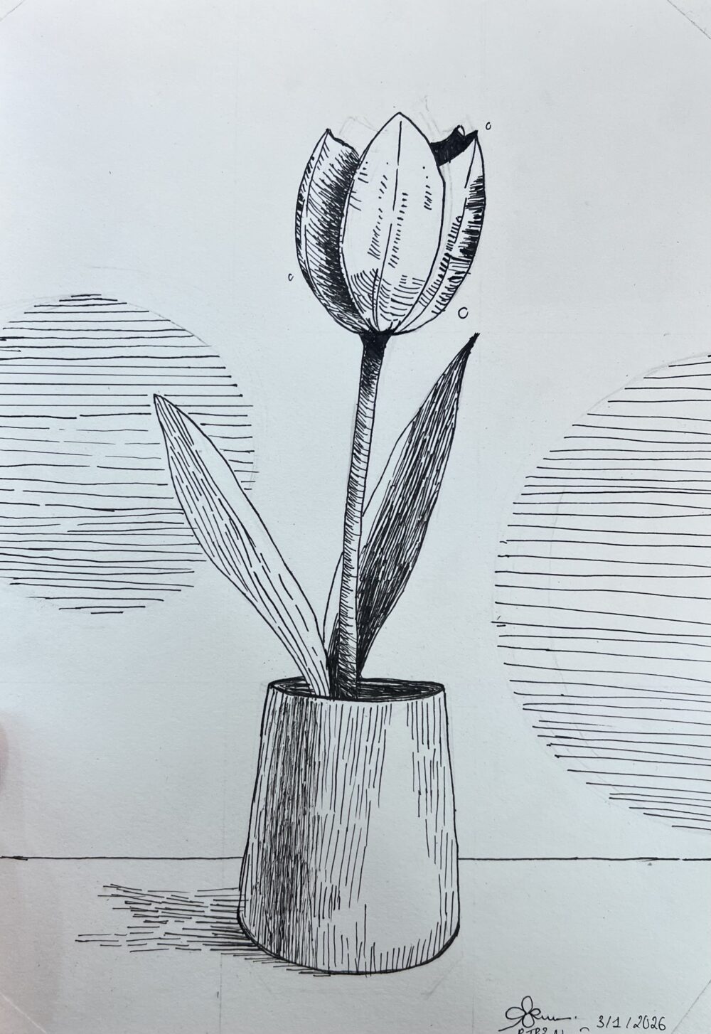 Tác phẩm TEEN Phạm thảo nguyên 2014 | 2026-01-03 33