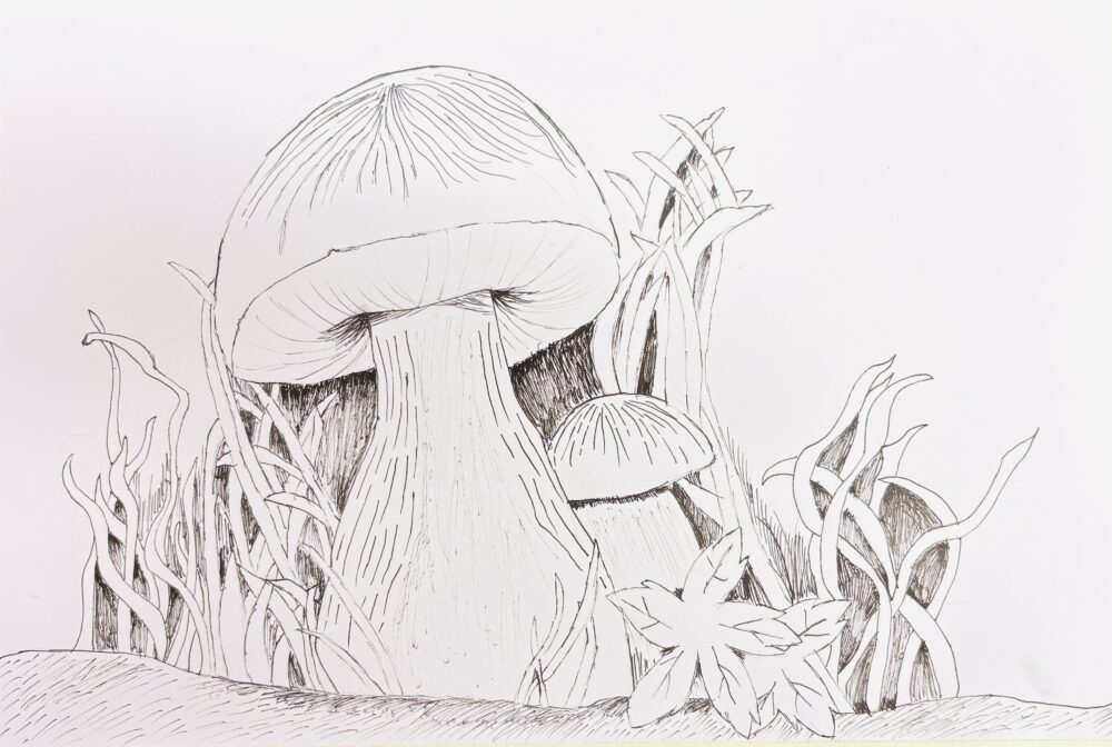 Tác phẩm Lê Diệu Huyền | 2026-01-31 33