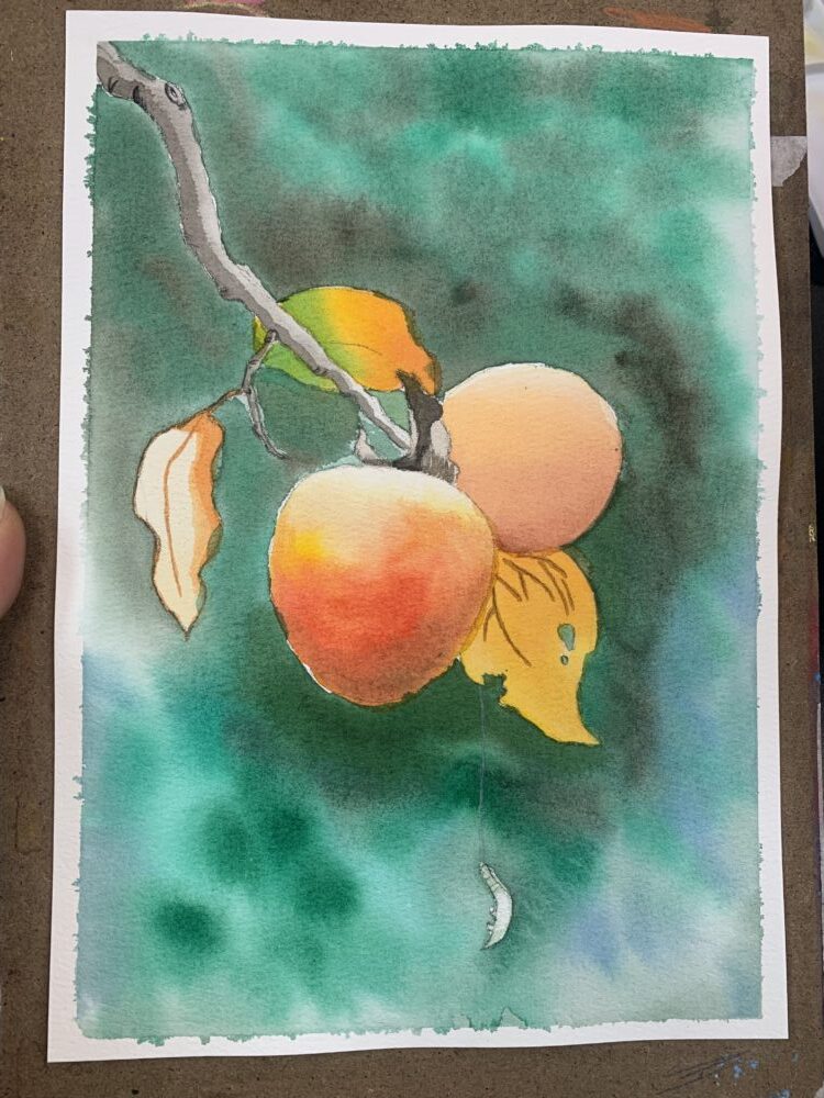 Tác phẩm Nguyễn Phương Hằng | 2026-01-24 33