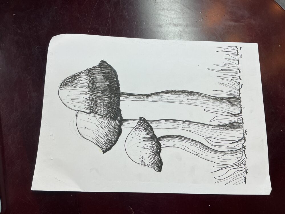 Tác phẩm Trọng Tuệ | 2026-01-11 32