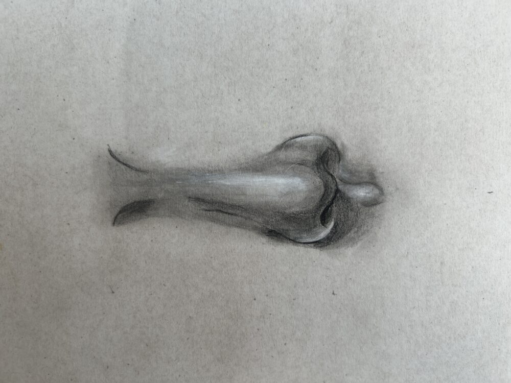 Tác phẩm Thái Uyên | 2026-01-18 33