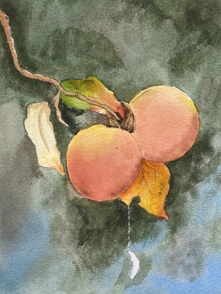 Tác phẩm Nguyen Ngoc Lan | 2026-01-22 33