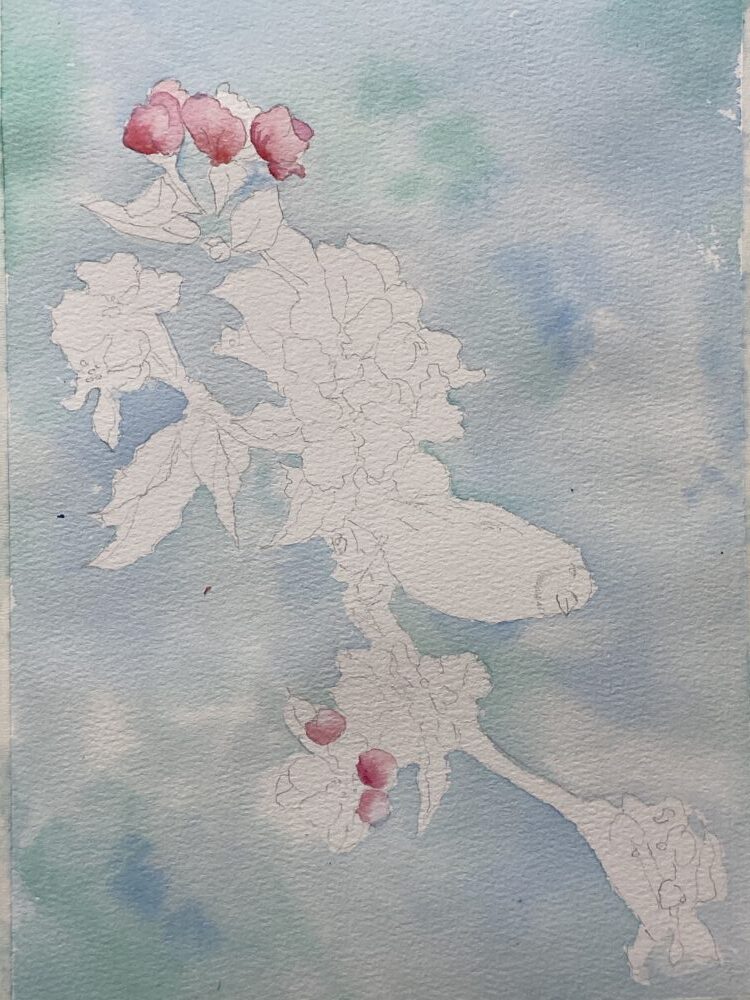 Tác phẩm Hồng Hà | 2026-01-29 33