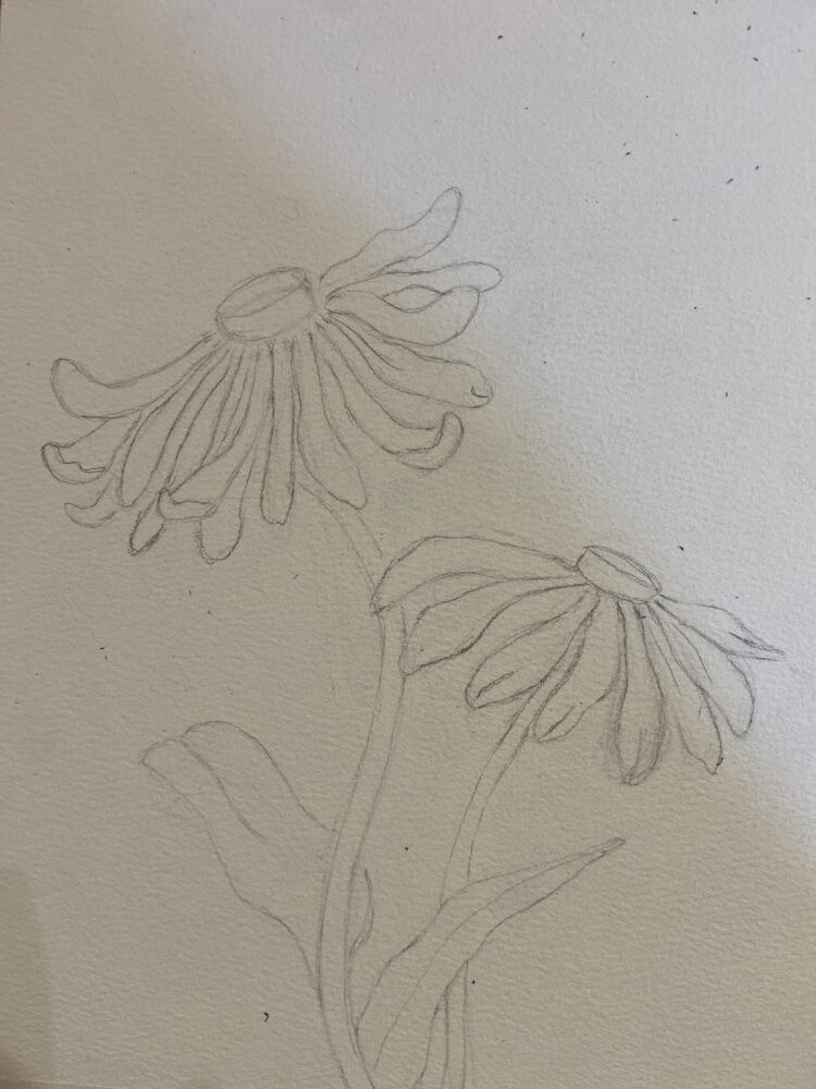 Tác phẩm Hà Châu Anh | 2026-01-29 34