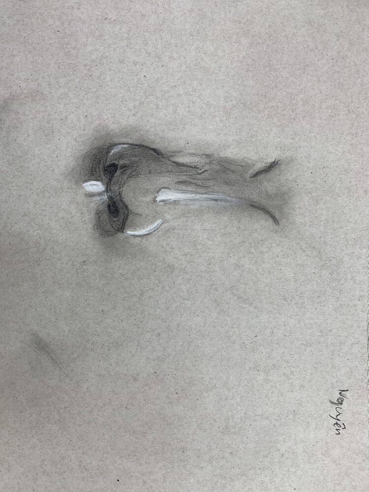 Tác phẩm Khánh Nguyên | 2026-01-04 32