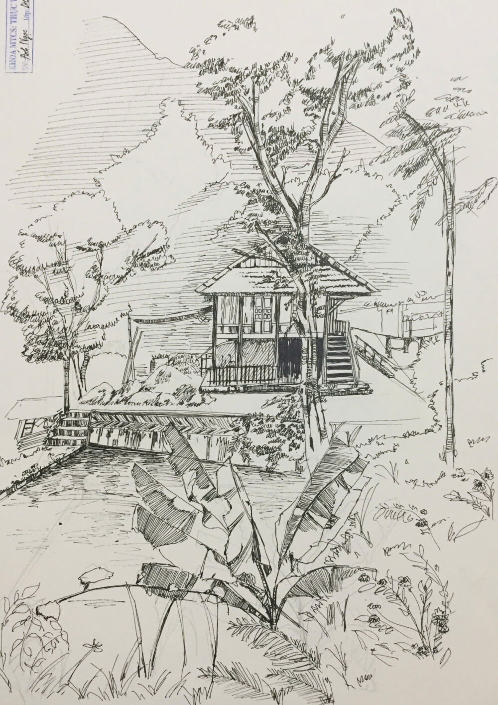 Ảnh của Đoàn Thị Ánh Ngọc – 2026-01-07 15:32:39