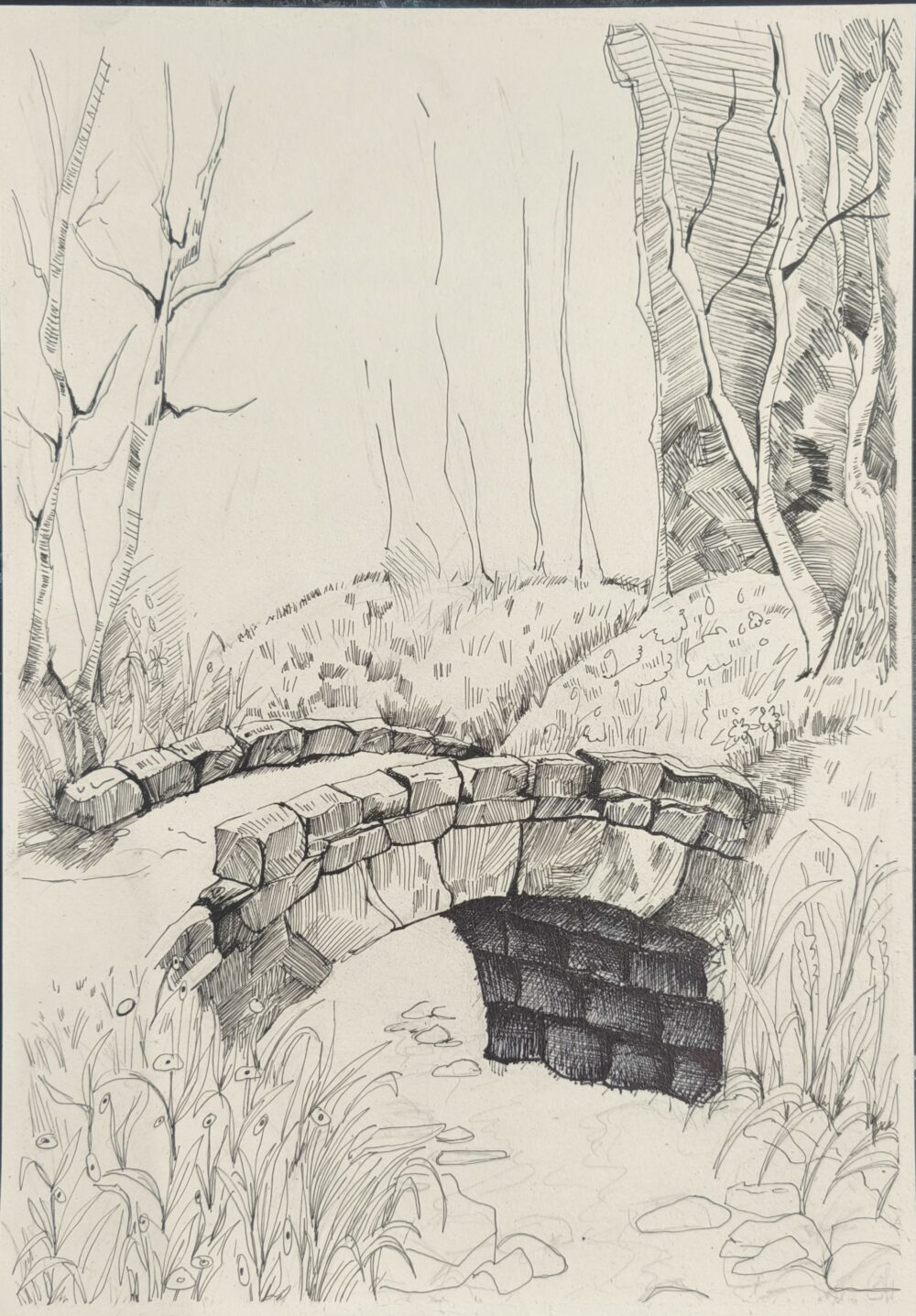 Tác phẩm Hoàng Oanh | 2026-02-02 32