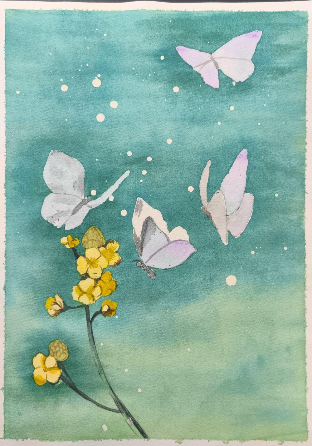 Tác phẩm Phan Yến | 2026-02-09 33