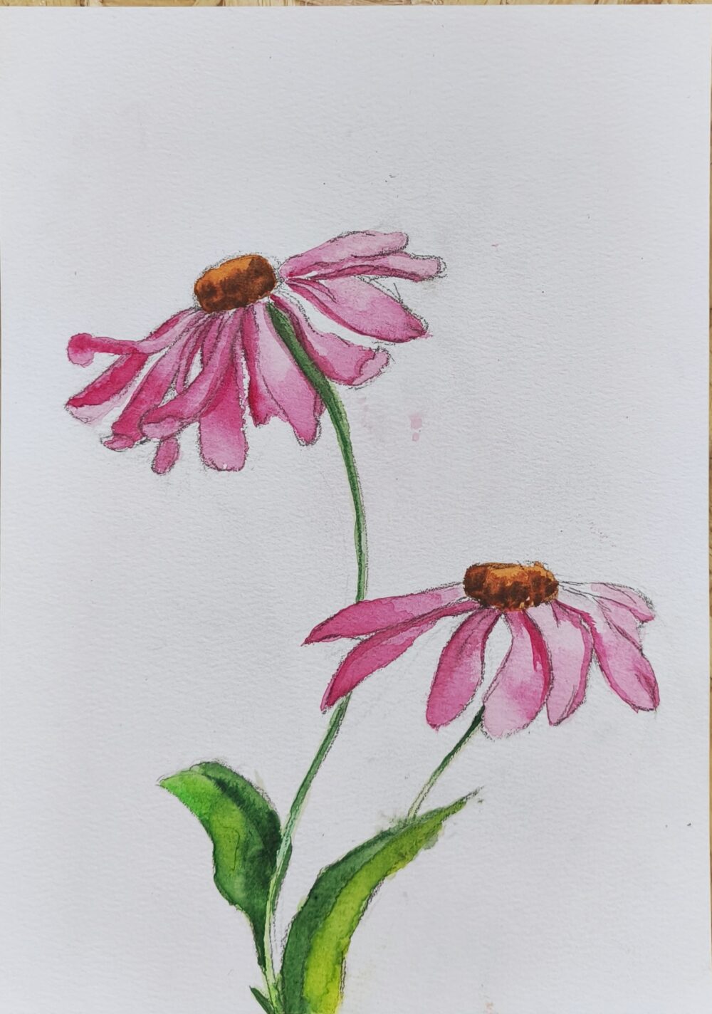 Tác phẩm Hoàng Oanh | 2026-02-13 32