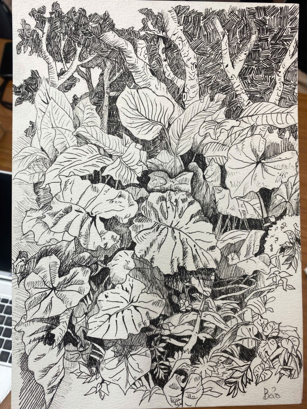 Tác phẩm Nguyễn Đình Bảo | 2026-02-01 32