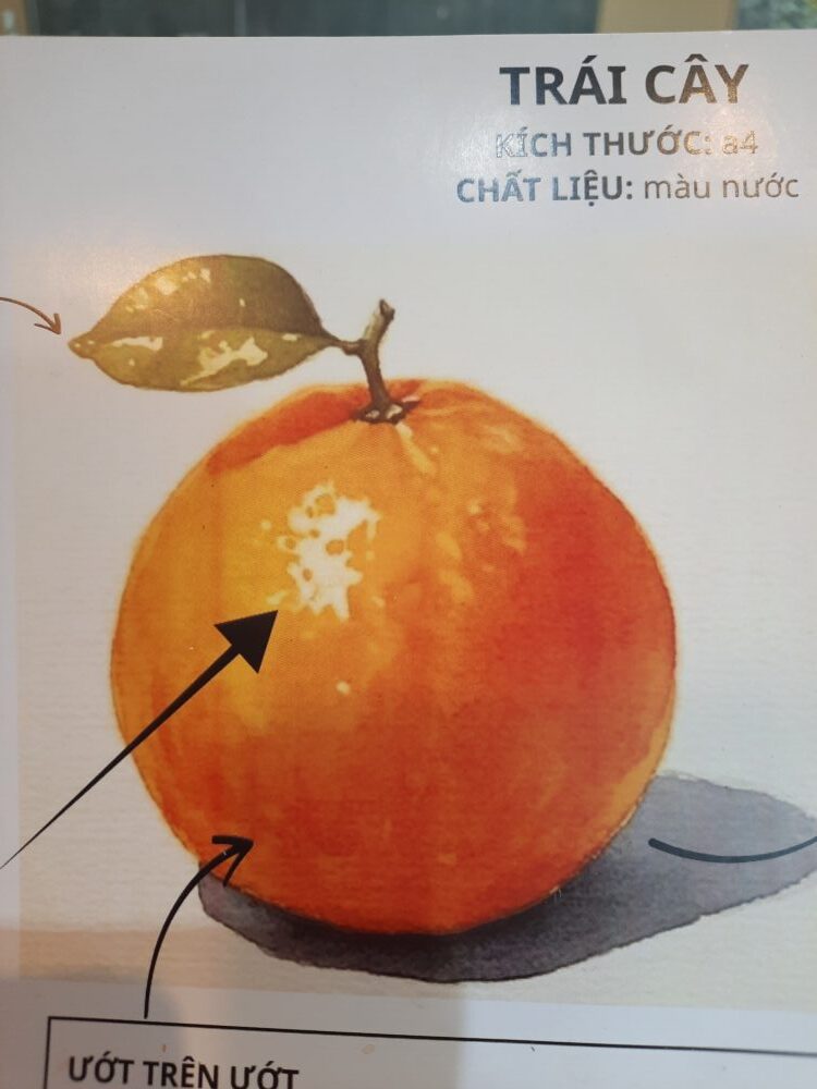 Tác phẩm Ngân Khánh | 2026-02-28 34