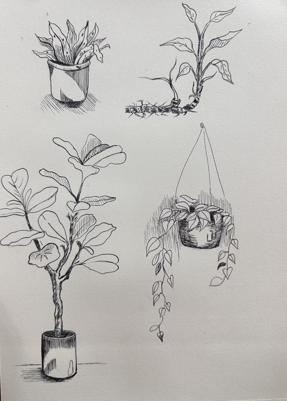 Tác phẩm Nguyễn Phương Ly | 2026-02-05 32