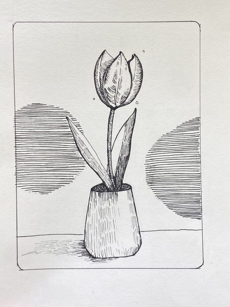 Tác phẩm Minh Thảo | 2026-02-01 33