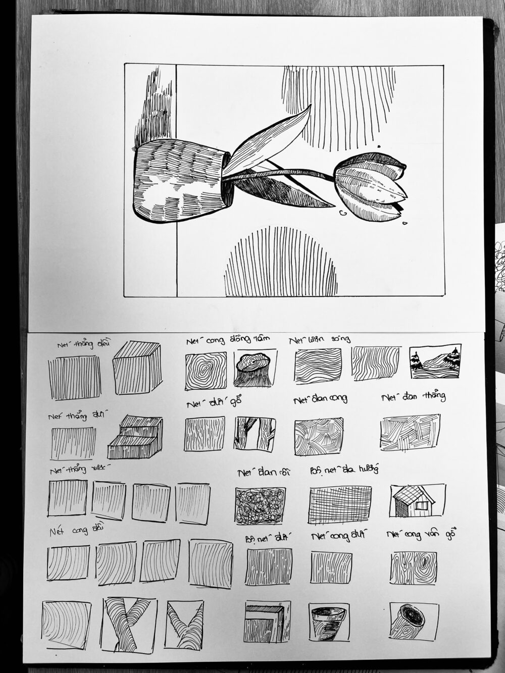Tác phẩm TEEN Nguyễn Linh Đan 2009 | 2026-02-09 34