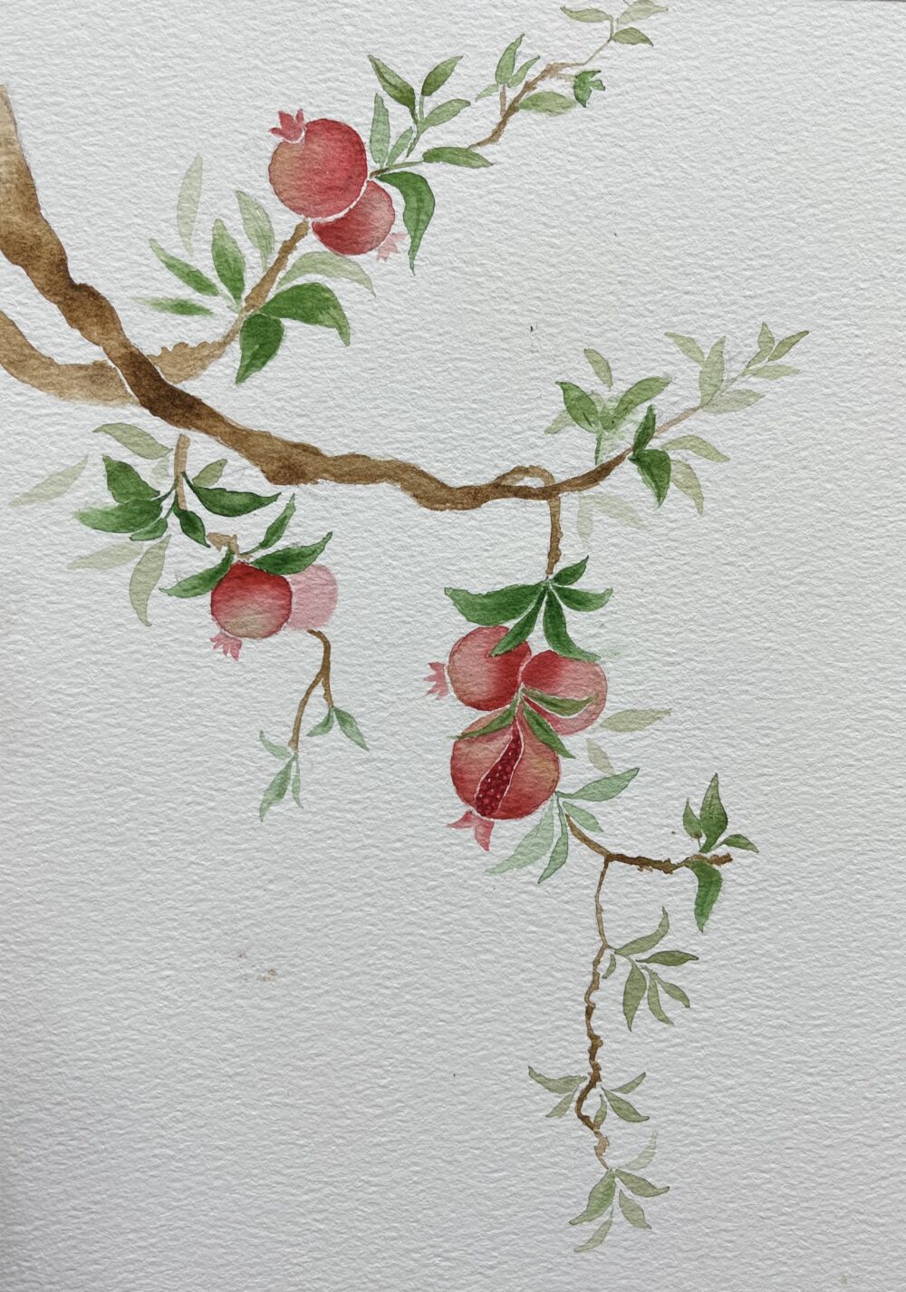 Tác phẩm Kim Dung | 2026-02-10 34