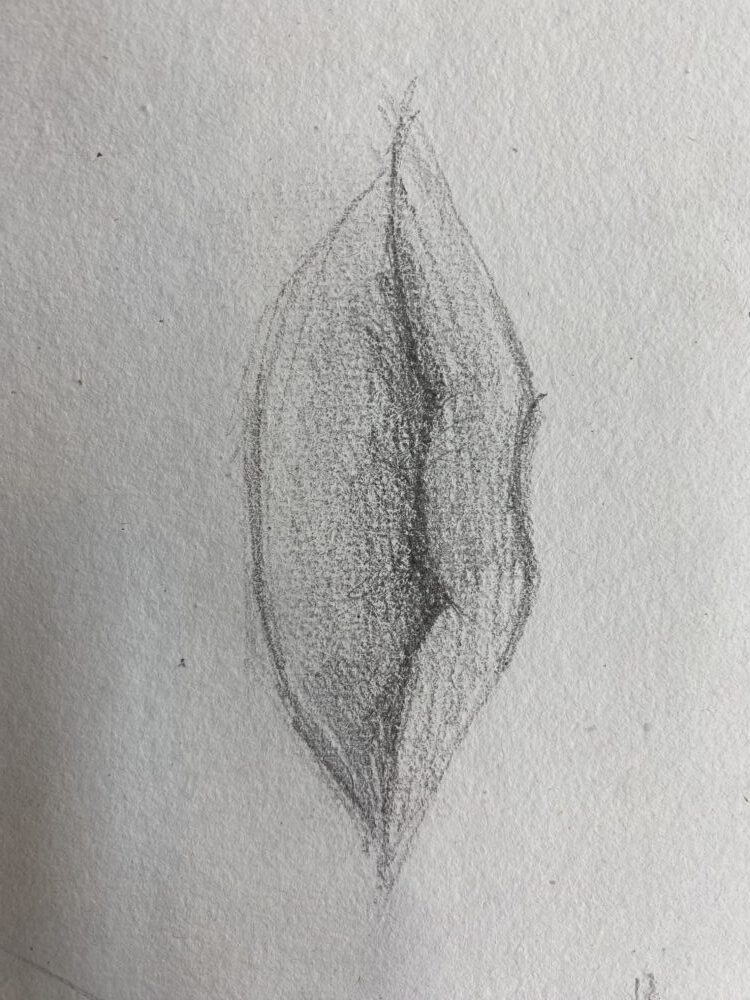 Tác phẩm Hoàng Phương Như | 2026-02-07 34