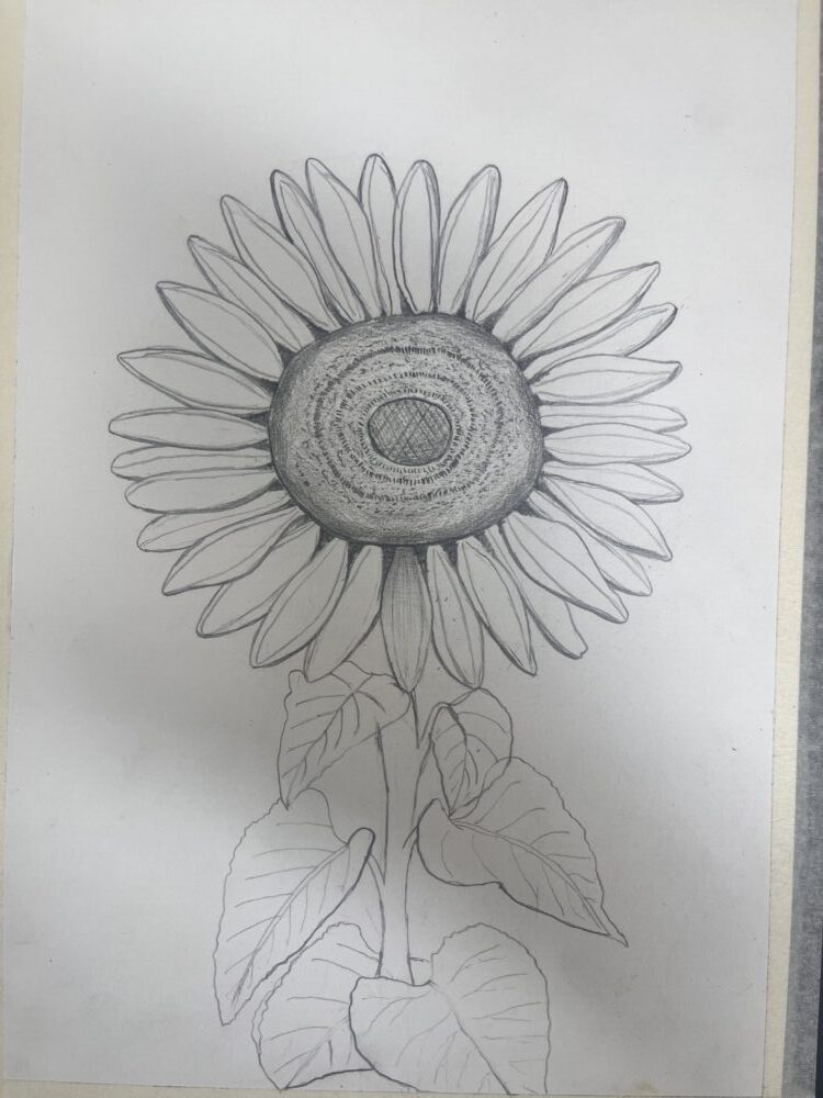 Tác phẩm Nguyễn Thị Thuỳ Linh | 2026-02-08 34