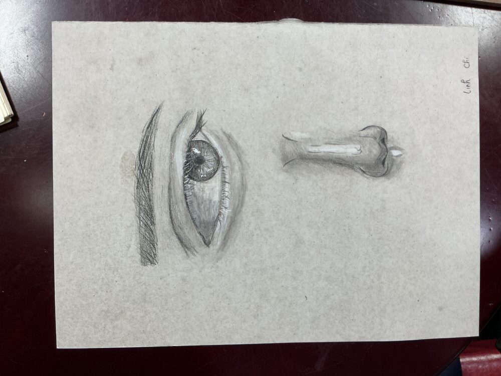 Tác phẩm Linh Chi | 2026-02-08 32