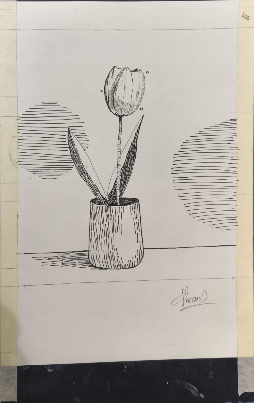 Tác phẩm Dương Hoài Như | 2026-03-01 33