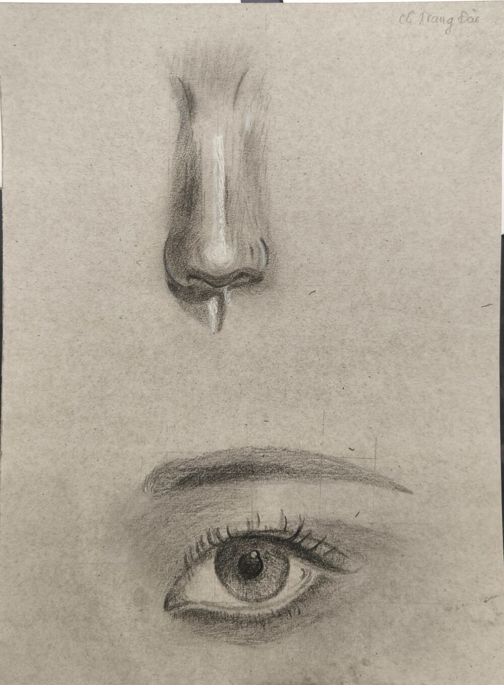 Tác phẩm Nguyễn Thị Trang Đài | 2026-03-13 32