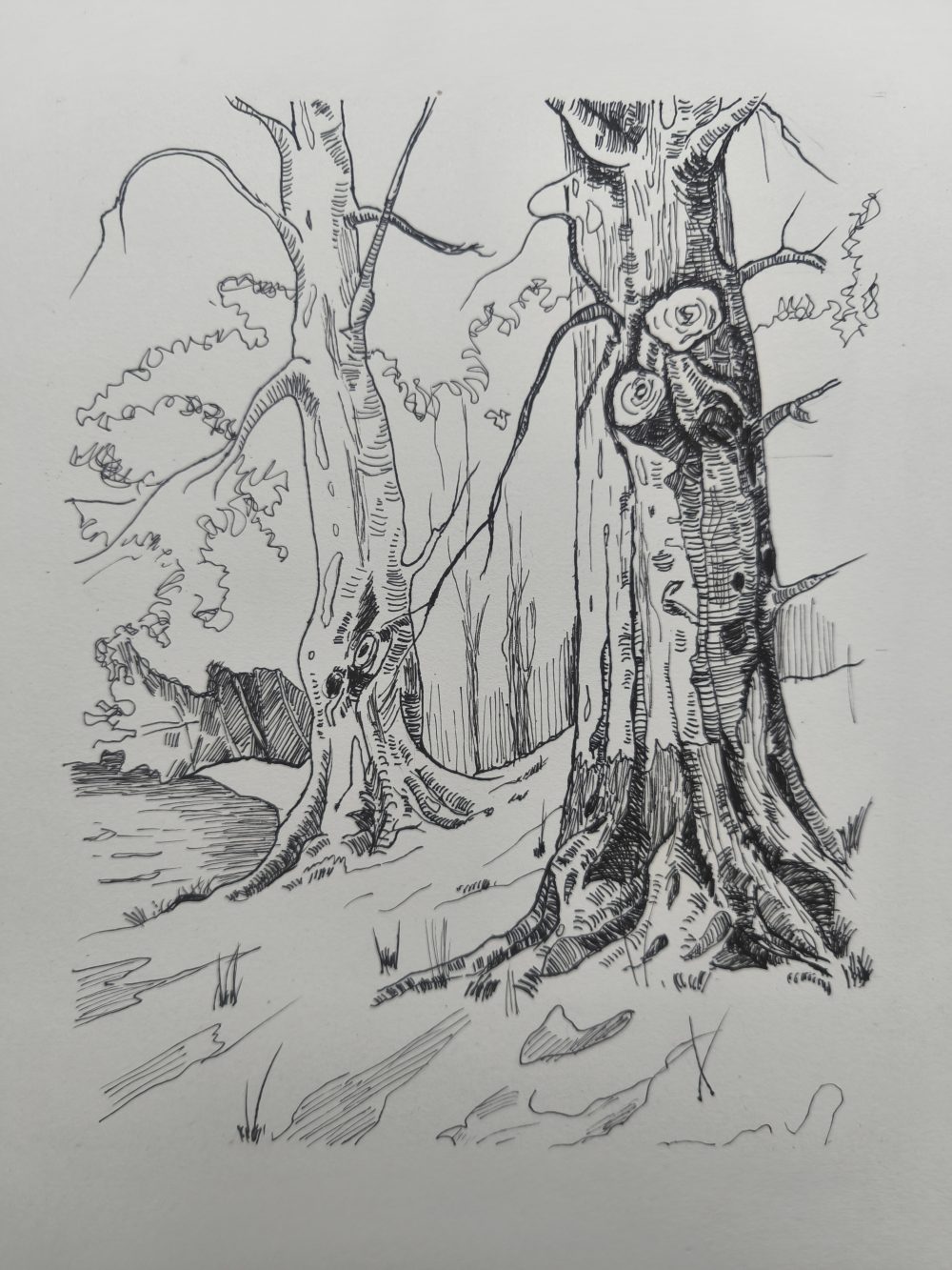 Tác phẩm Phạm Bích Thủy | 2026-03-19 34